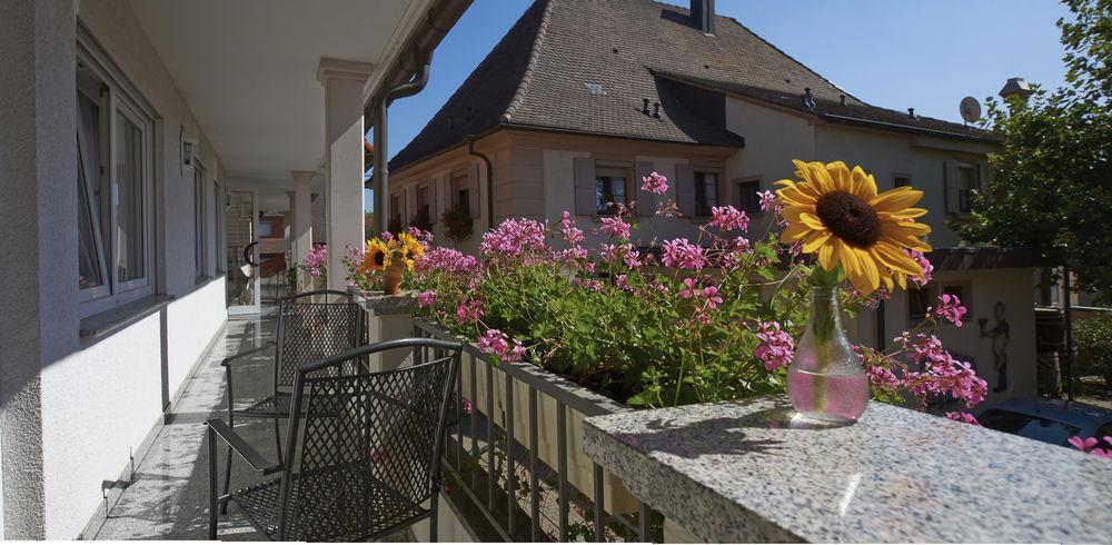 Oberrimsingen Hotel Loewen Garni מראה חיצוני תמונה
